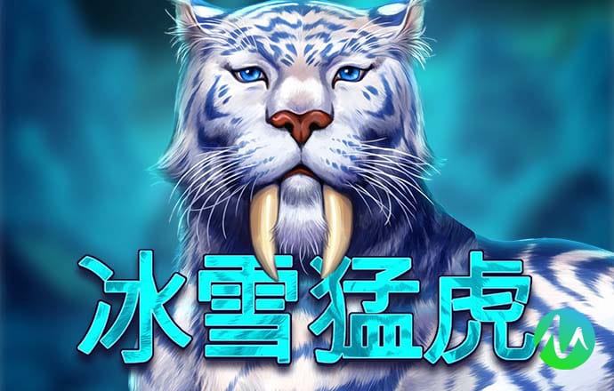 九球体育